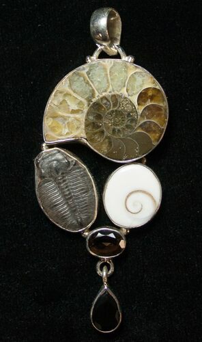 Ammonite + Trilobite Pendant - Sterling Silver #8526